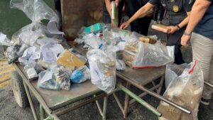 Operação Narke: Polícia Civil incinera drogas apreendidas  em Roraima