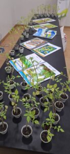 Seed lança catálogo para implantação de hortas sustentáveis nas escolas estaduais de Roraima
