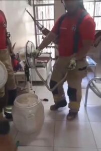 Cobra caninana invade casa e é capturada pelos bombeiros em Boa Vista; veja vídeo