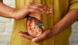 Cuidados com os rins: como identificar sinais de alerta e prevenir complicações renais