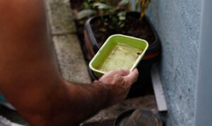 Intensidade do El Niño será forte, mas menor que o esperado, alerta especialista