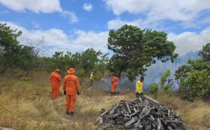 Comitê de Queimadas prorroga por 30 dias autorização para uso controlado e prescrito do fogo