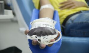 Novas regras para doação de sangue entram em vigor em outubro; veja o que muda