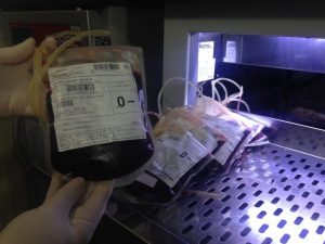 Hemoraima convoca doadores de sangue para manter estoque de urgência e atender cirurgias