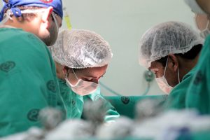 Setembro Verde: idosos também podem ser doadores vivos de órgãos