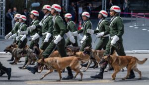 Exército fecha parceria para estudar linhagens de animais para operações especiais