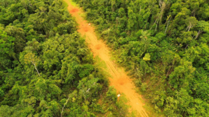 Justiça determina bloqueio de R$ 146 milhões de empresas investigadas por envolvimento com o garimpo ilegal na Terra Yanomami