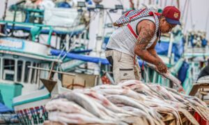 Semana do Pescado: campanha quer ampliar consumo de peixes