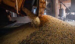 Produção brasileira de grãos deve aumentar apesar do El Niño