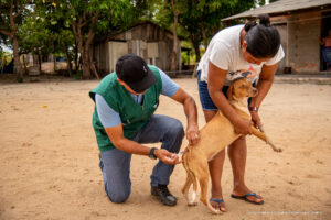Prefeitura inicia Campanha de Vacinação Antirrábica na zona rural de Boa Vista