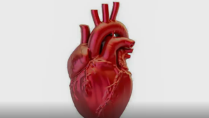 A cada 72 segundos, uma pessoa morre por doença cardiovascular no país