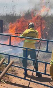 Corpo de Bombeiros executa força-tarefa de queima controlada na região do Bom Intento 