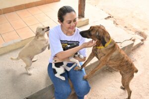 Leis aprovadas pela Assembleia Legislativa reforçam a proteção e o bem-estar animal em Roraima