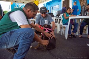 Confira o cronograma da Campanha de Vacinação Antirrábica na zona rural de Boa Vista