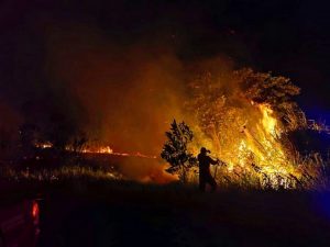 Calendário de autorizações para uso do fogo controlado é suspenso por 15 dias após aumento dos focos de calor em Roraima