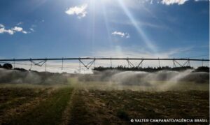 IBGE lança plataforma para auxiliar Censo Agropecuário e Florestal
