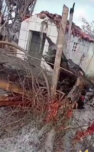 Árvore cai em cima dos túmulos de cemitério em Rorainópolis na véspera do feriado de finados
