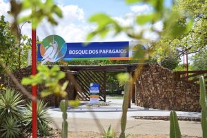 Parque Naturalizado do Bosque dos Papagaios será inaugurado nesta quinta-feira, 8