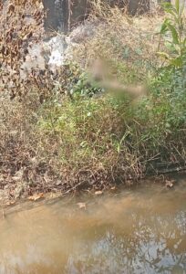 Corpos são encontrados carbonizados em vicinal de Mucajaí